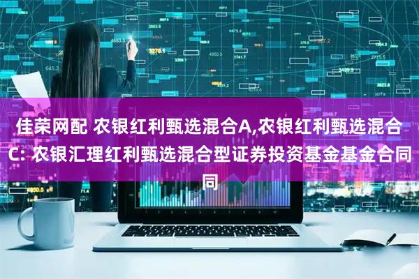 佳荣网配 农银红利甄选混合A,农银红利甄选混合C: 农银汇理红利甄选混合型证券投资基金基金合同