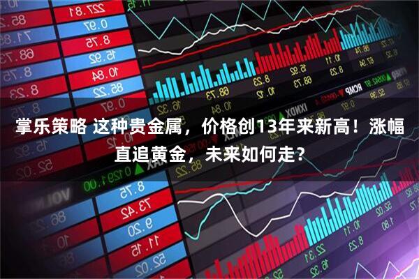 掌乐策略 这种贵金属，价格创13年来新高！涨幅直追黄金，未来如何走？