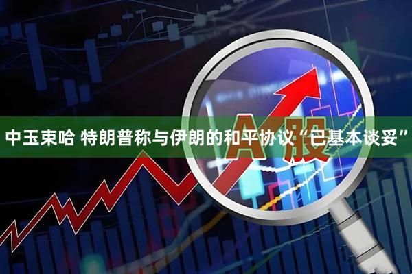 中玉束哈 特朗普称与伊朗的和平协议“已基本谈妥”